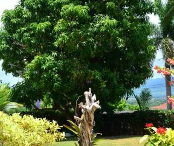 Castle Vue Bed & Breakfast Montego Bay